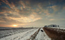 Winter Walk