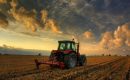 Autumn Cultivation