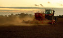Sowing The Seed