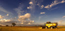 New Holland