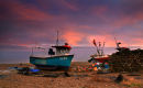 Silver Harvest Sunset