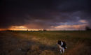 Stormy Walk