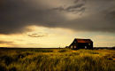 Walberswick