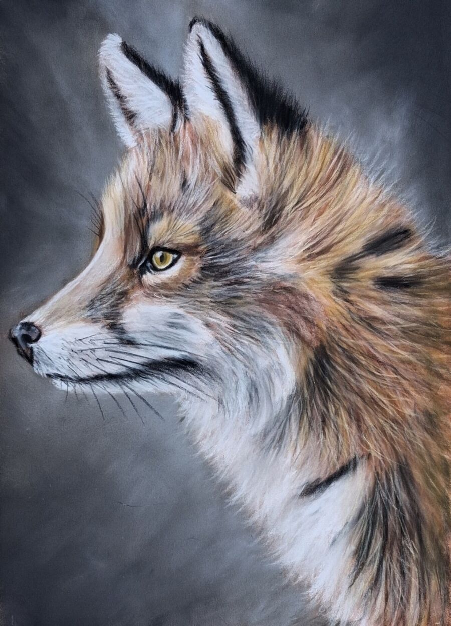 Fox3