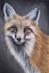 Fox2