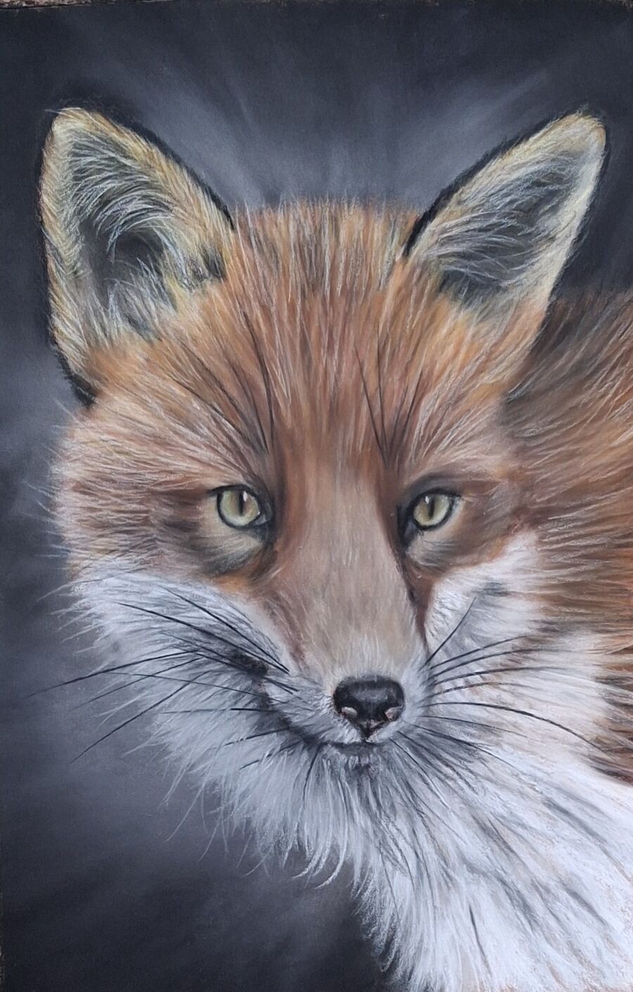 Fox4