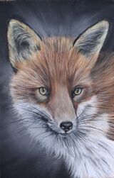 Fox4