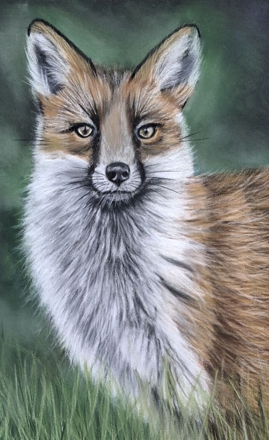 Fox1