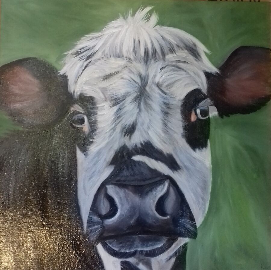 Black and White Cow