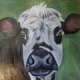 Black and White Cow