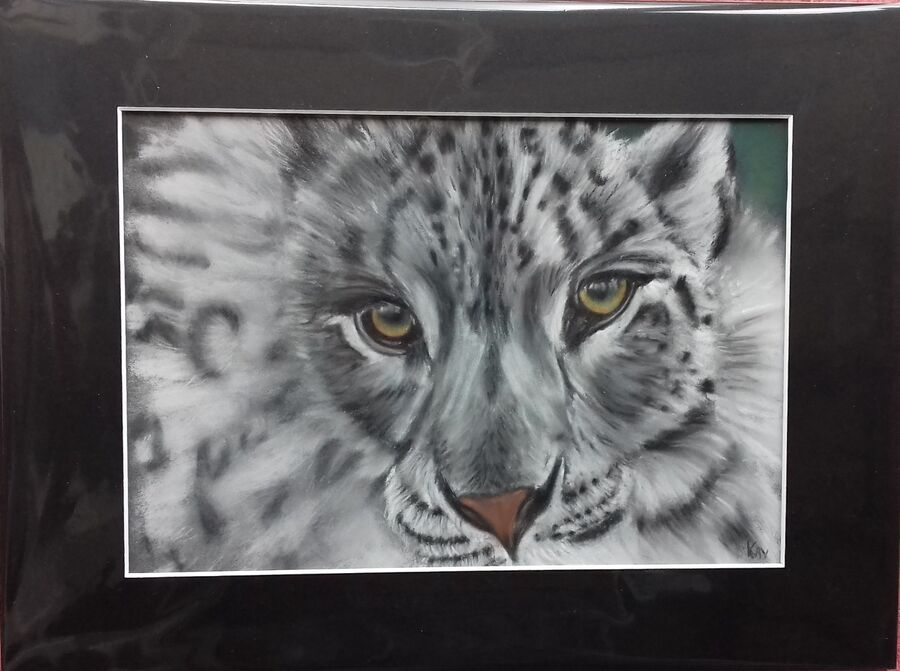 Snow Leopard