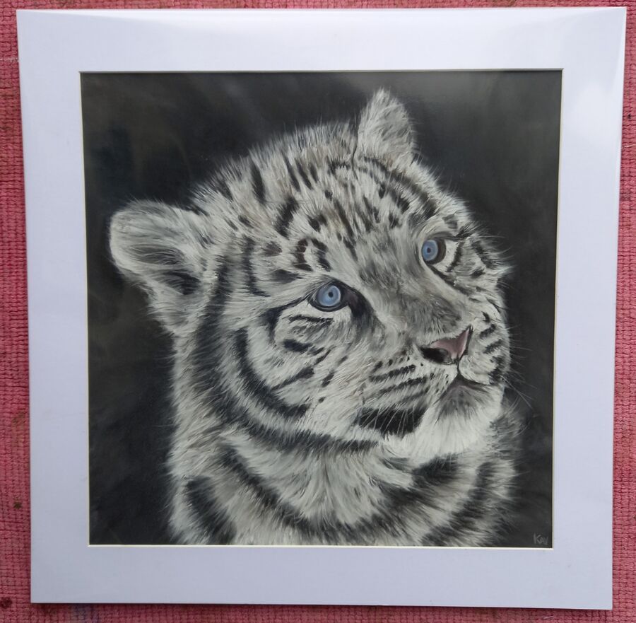 Snow Leopard