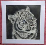 Snow Leopard