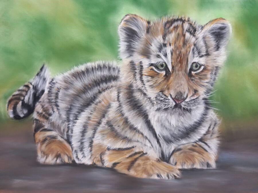 Tiger Cub