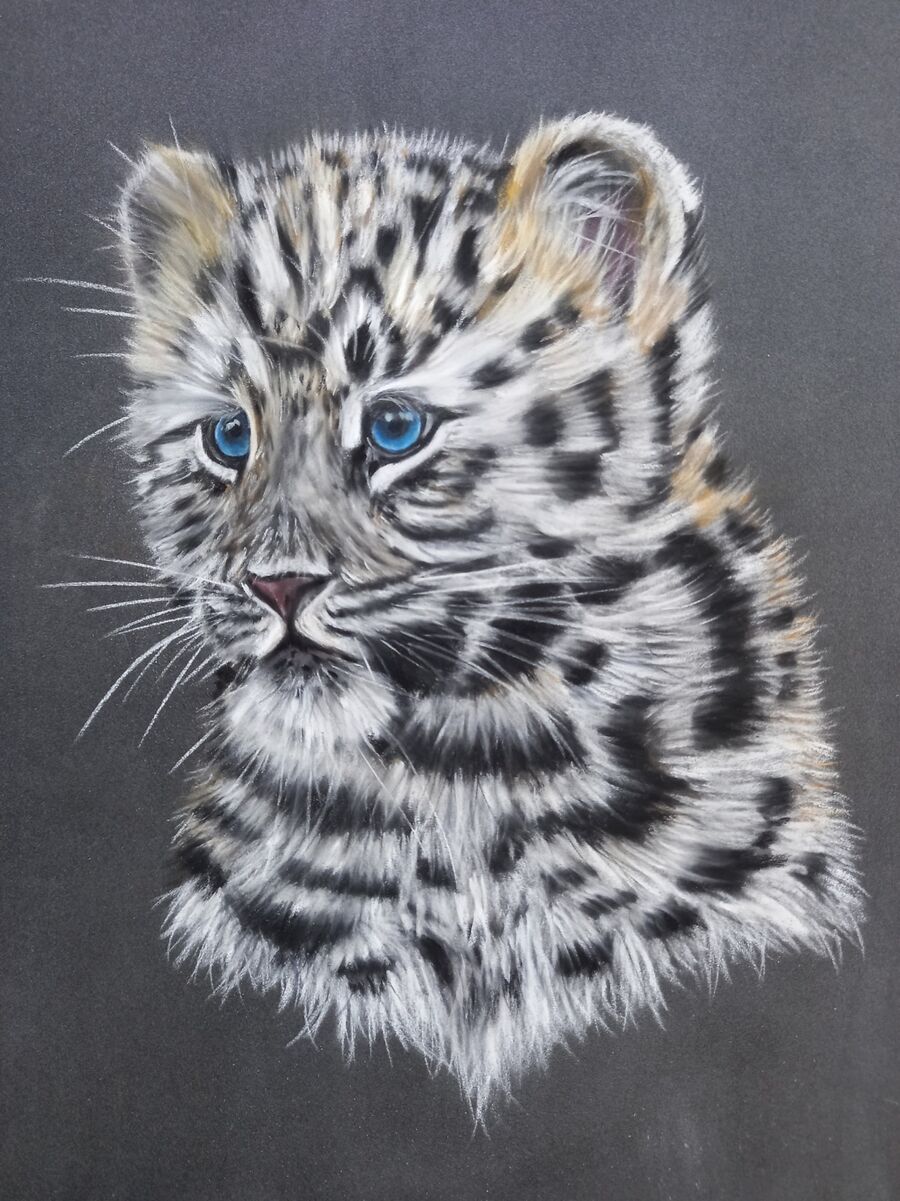 Amur Leopard Cub2