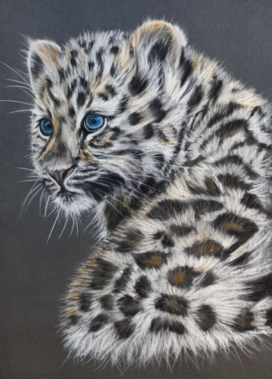 Amur Leopard Cub1