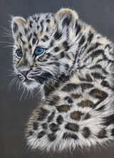 Amur Leopard Cub1