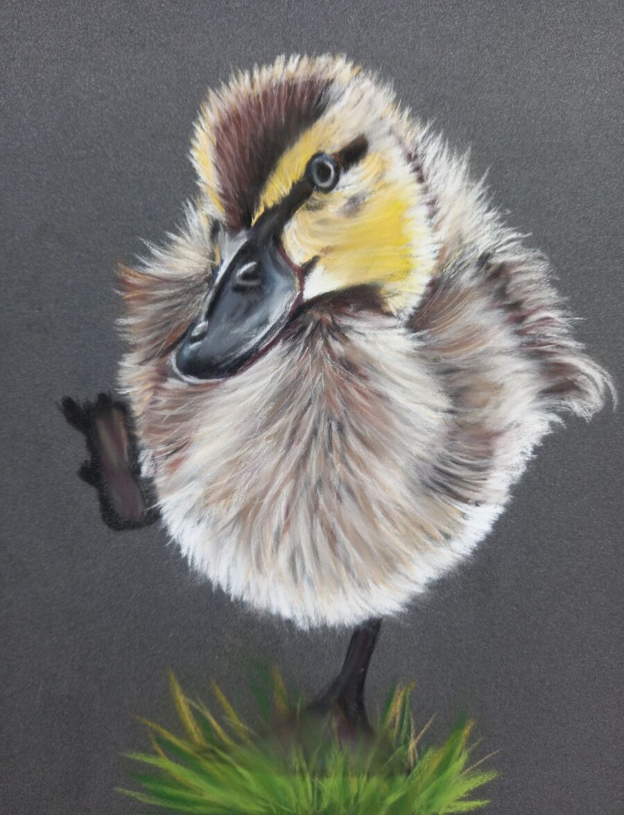 Duckling