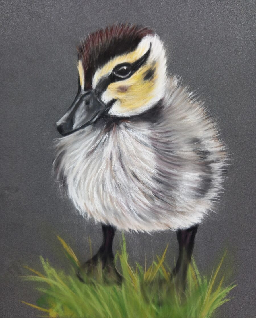 Duckling
