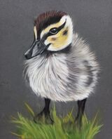Duckling