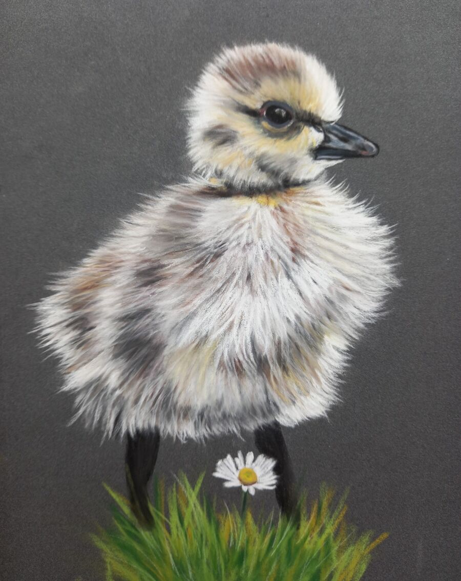 Duckling 3