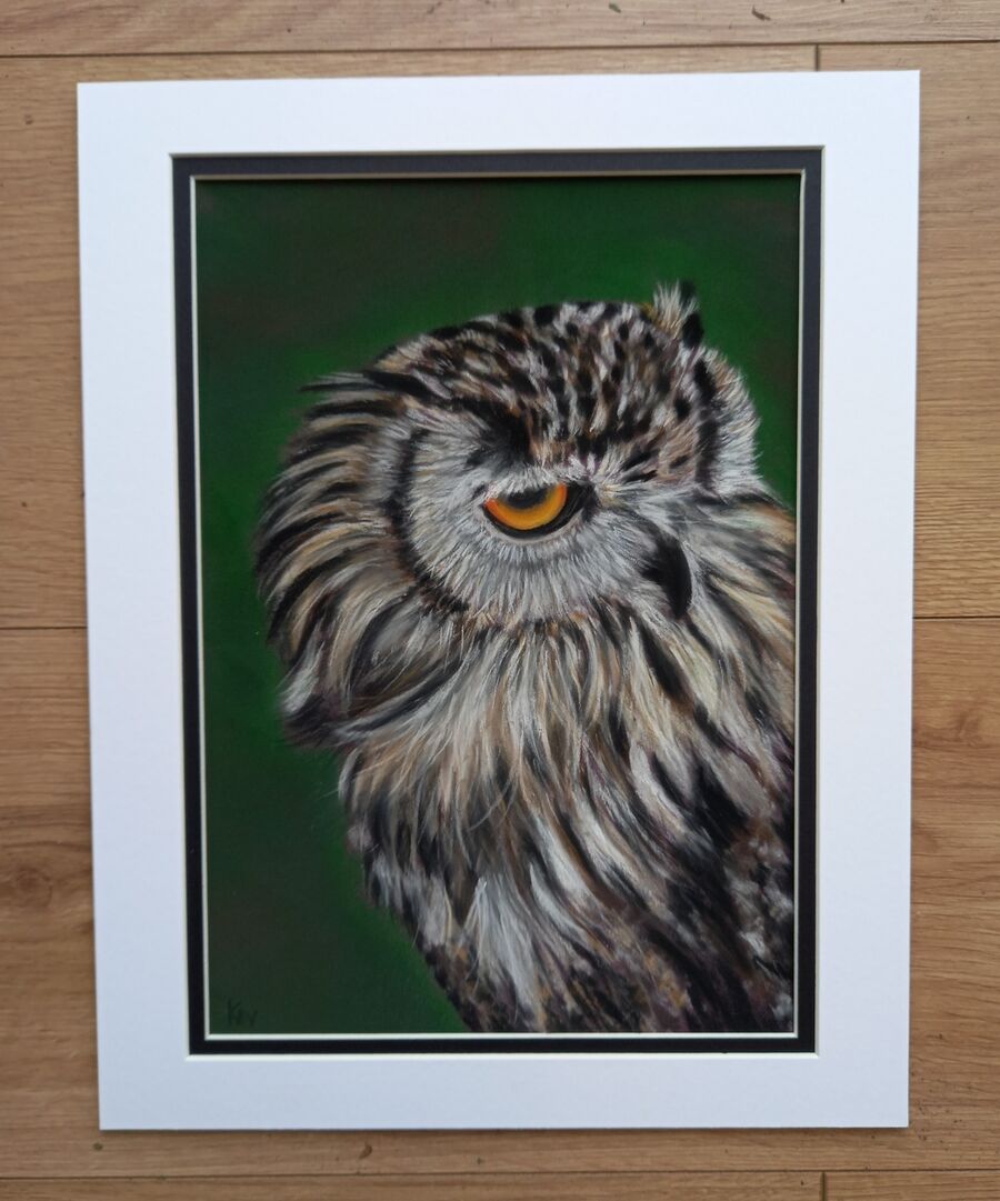 Owl