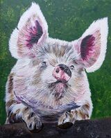 Piggy
