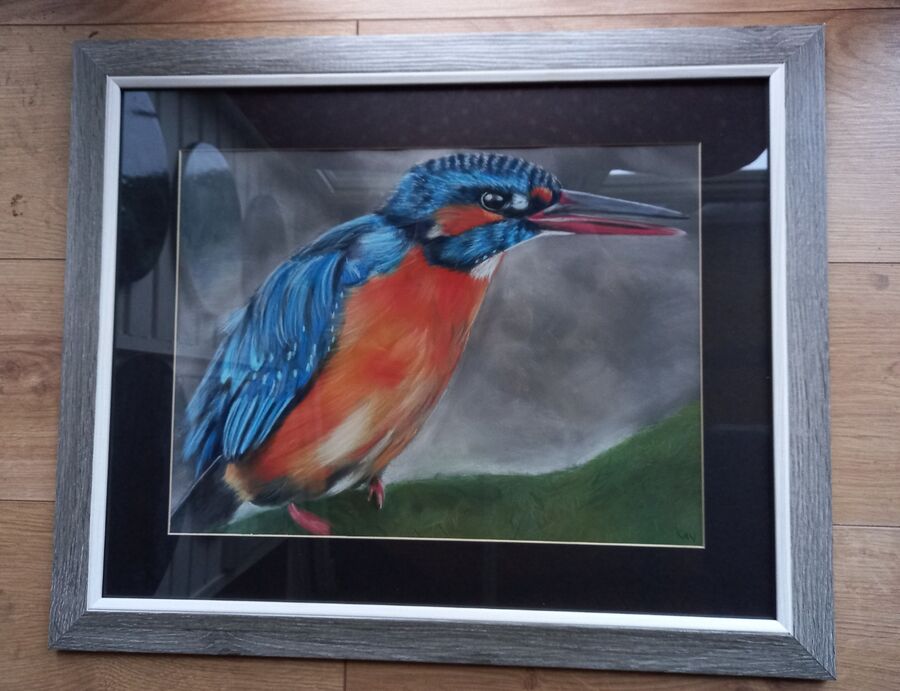 Kingfisher 2