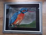 Kingfisher 2