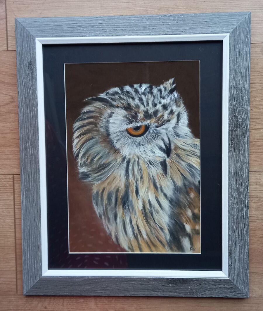 Tawny Owl