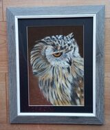 Tawny Owl