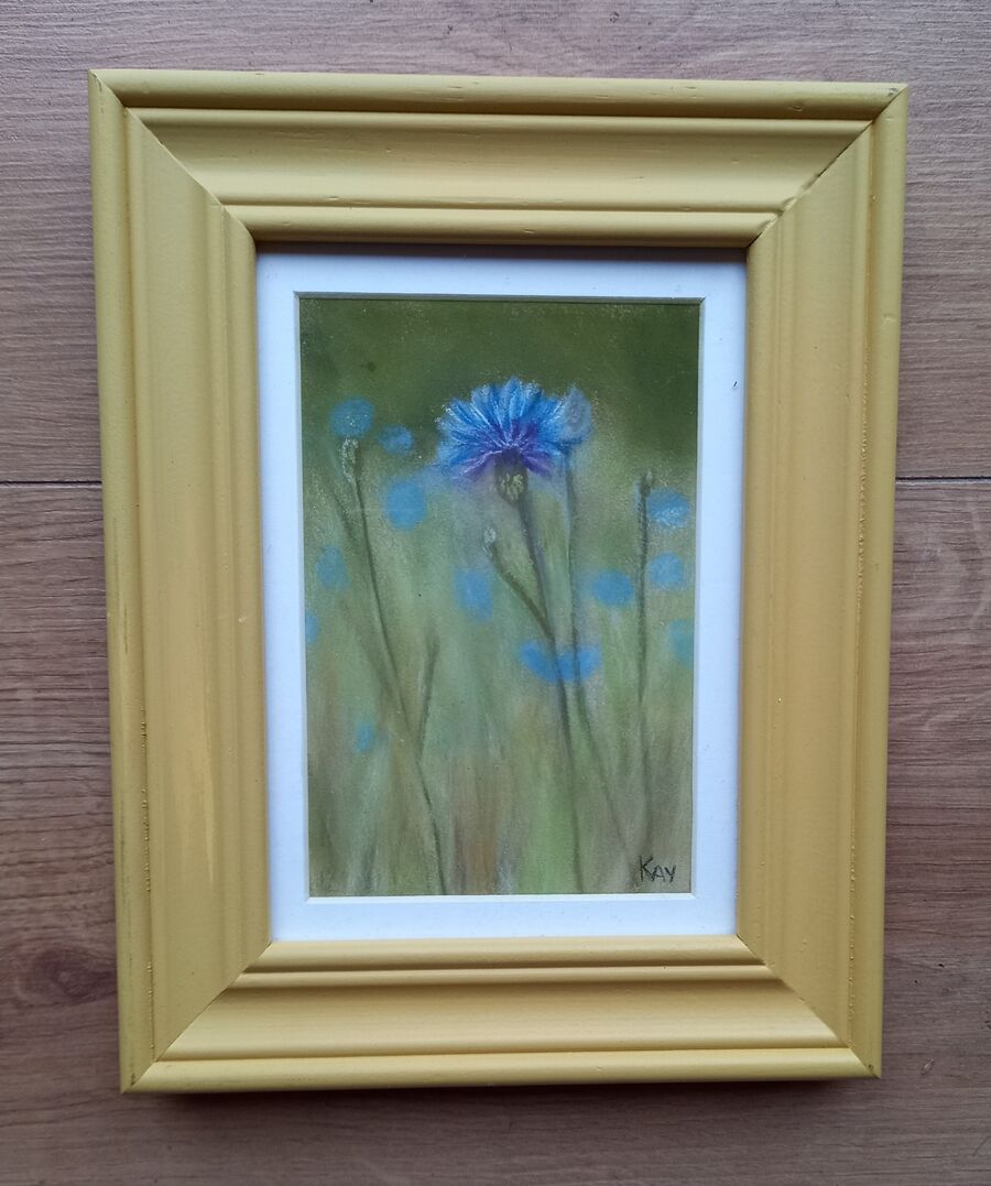 Cornflowers