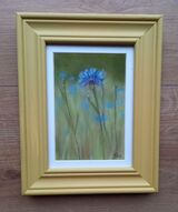 Cornflowers