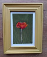 Red Poppy 2