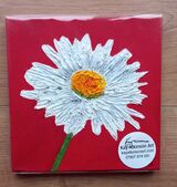 White Daisy - Red