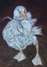 Duckling 4