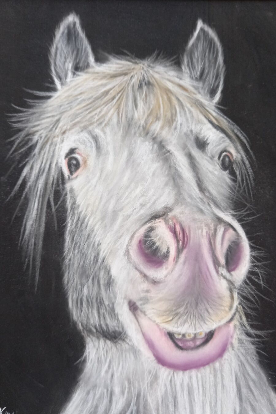 Cheeky Horse