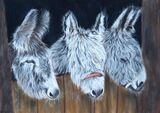 3 Donkeys