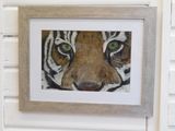 Tiger Eyes