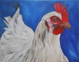 White Sussex Chicken
