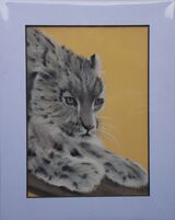 Snow Leopard