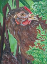 Brown Ranger Chicken