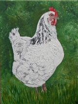 White Sussex Chicken - Textured