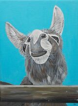 Donkey