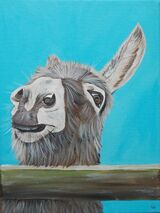 Donkey