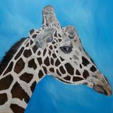 Giraffe - Oils