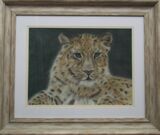 Amur Leopard