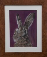 Hare