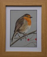 Red Robin