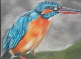 Kingfisher